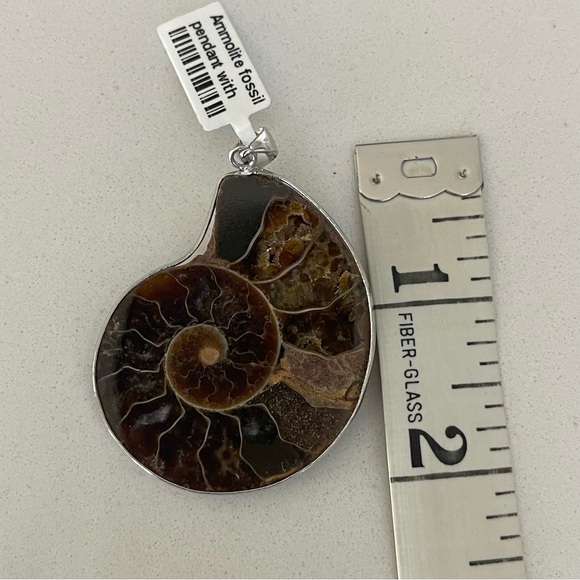 One of A Kind Ammolite Fossil Pendant - Picture 3 of 10